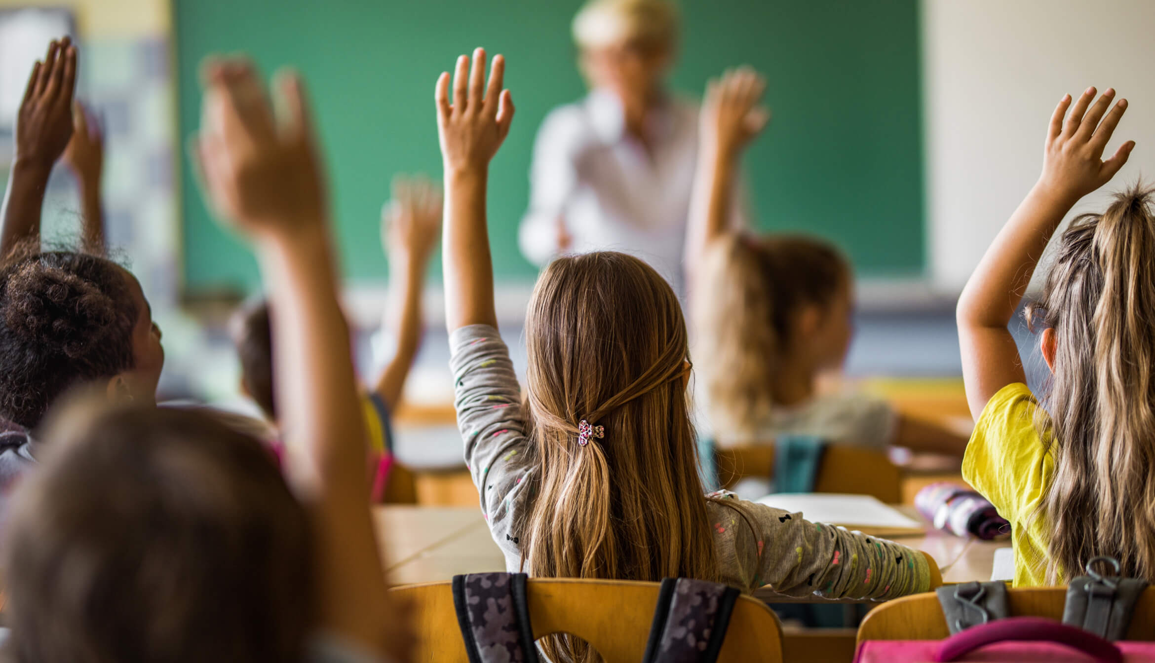 education market for investors